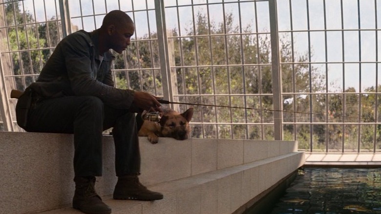 Will Smith and dog fishing I Am Legend