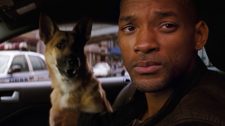 Will Smith and German Shepherd I Am Legend