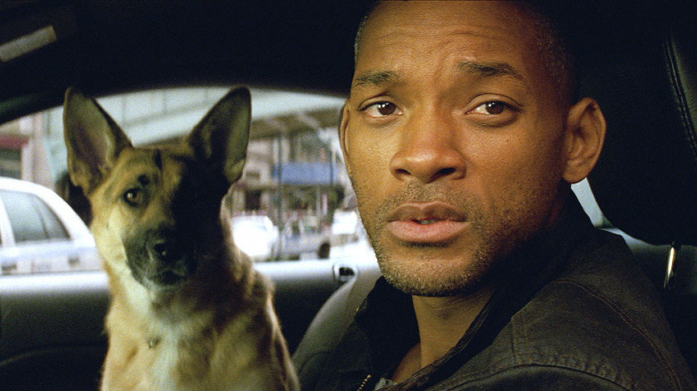 Will Smith and his dog in I Am Legend