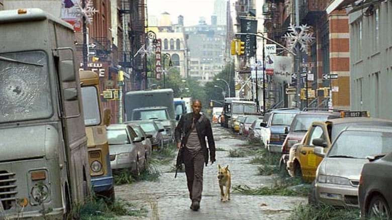 Man dog walking through cityscape