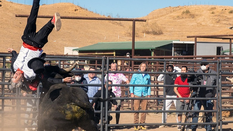 Knoxville hit by bull