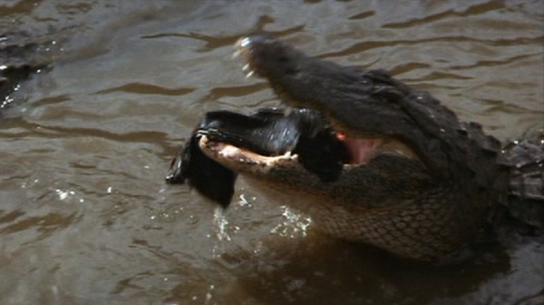 Indiana Jones and the Temple of Doom alligators