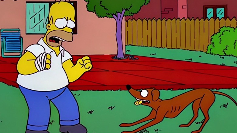 Dog has Homer's thumb