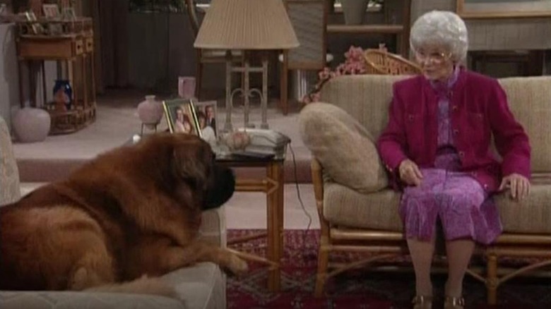 Estelle Getty as Sophia Petrillo with Bear the dog as Dreyfuss on Empty Nest