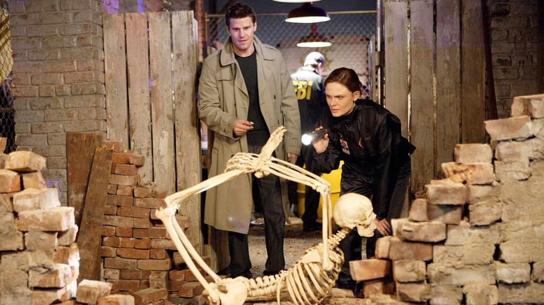 David Boreanaz como Booth e Emily Deschanel como Dr. Brennan examinando um esqueleto em ossos