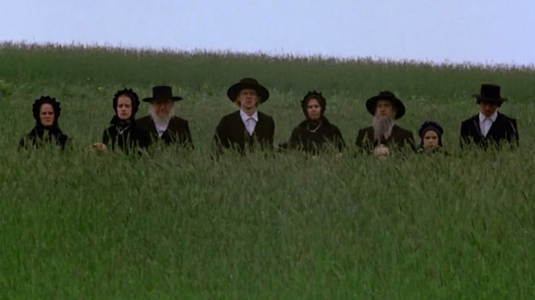 Witness Amish Field