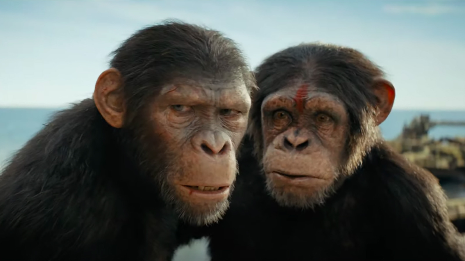 It Was Earth All Along In The Kingdom Of The Of The Apes Super