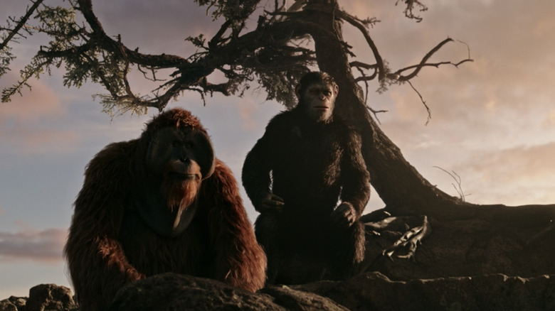 War Planet Apes Promised Land