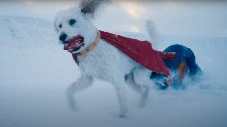 Krypto carries his master to safety in Superman