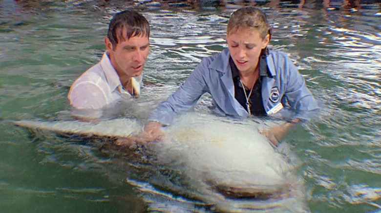 Bess Armstrong Shark Jaws 3-D SeaWorld