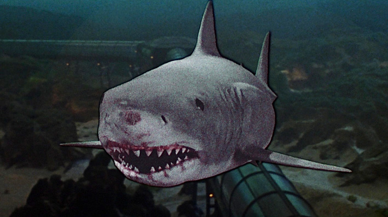 Jaws 3-D shark 