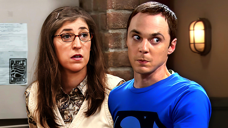 A Teoria do Big Bang, Amy e Sheldon