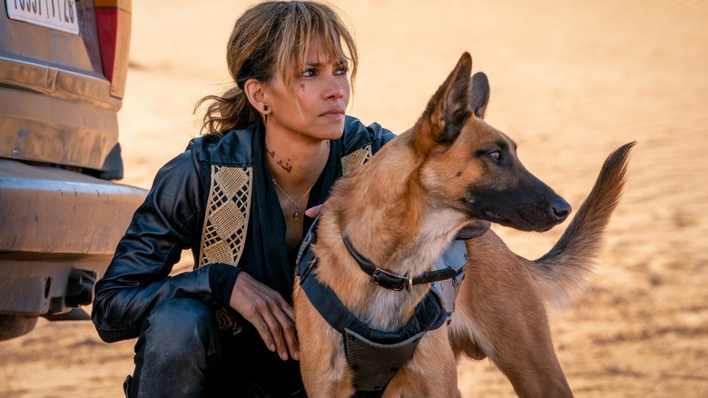 Halle Berry and dog