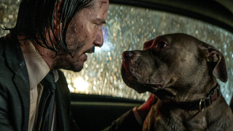 John Wick y perro en auto bajo la lluvia John Wick Capítulo 3 Parabellum