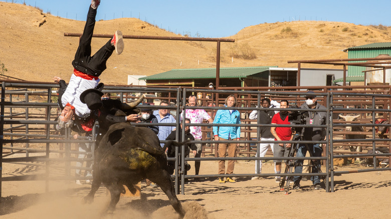 Still from Jackass Forever