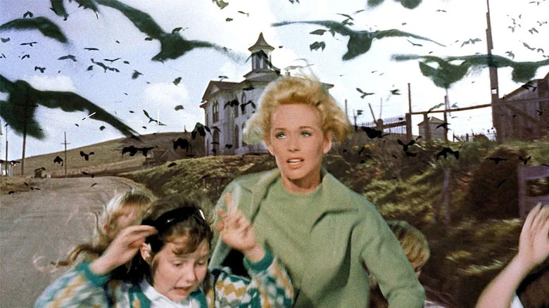 Tippi Hedren in The Birds