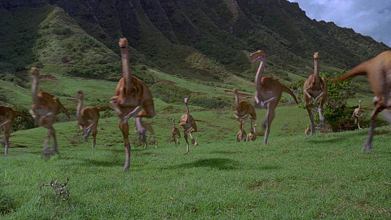 A pack of gallimimus created using CGI technology for "Jurassic Park"