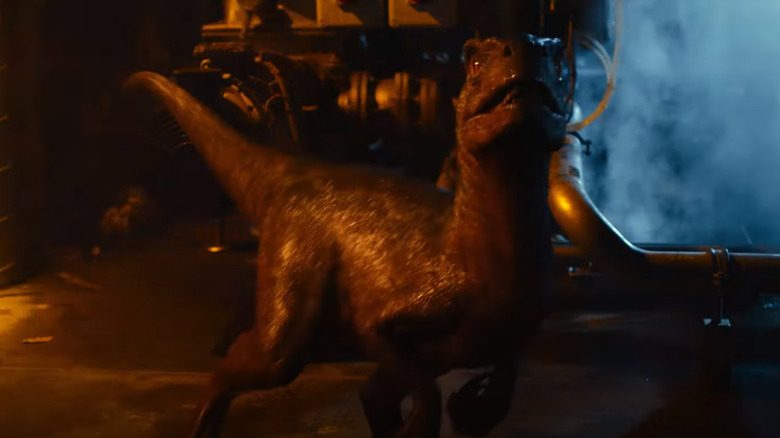 Baby raptor Jurassic World Dominion 