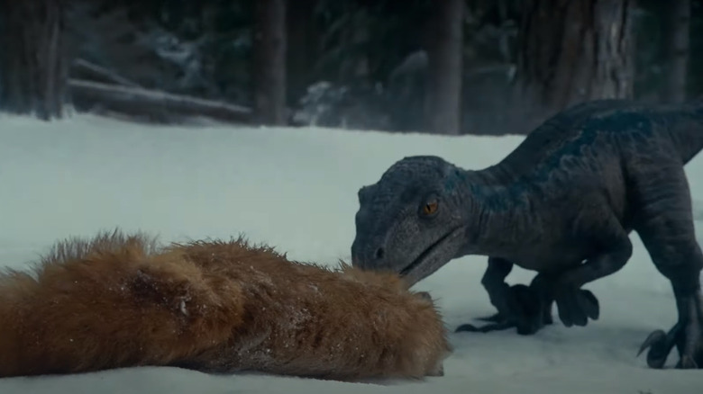 Baby raptor Jurassic World Dominion 