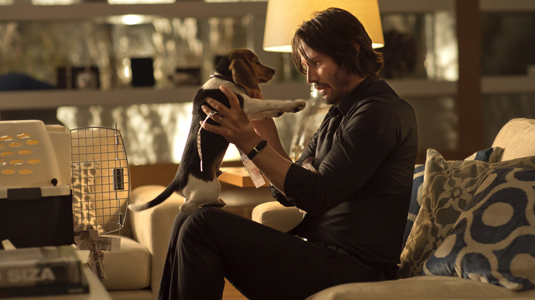 John Wick 2014 Cachorro Wick