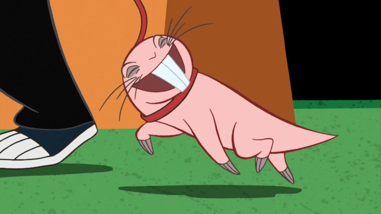 Kim Possible mole rat