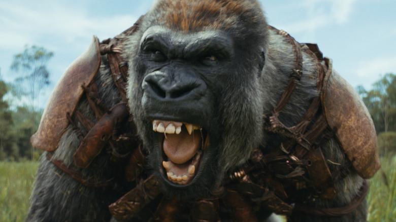 Kingdom Of The Planet Of The Apes Gorilla Characters Continue Franchise ...