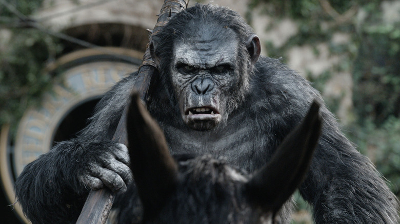 Dawn of the Planet of the Apes Koba 