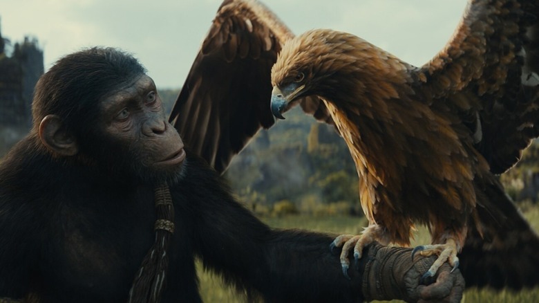 Owen Teague in Kingdom of the Planet of the Apes