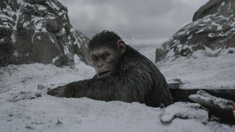 War for the Planet of the Apes Caesar