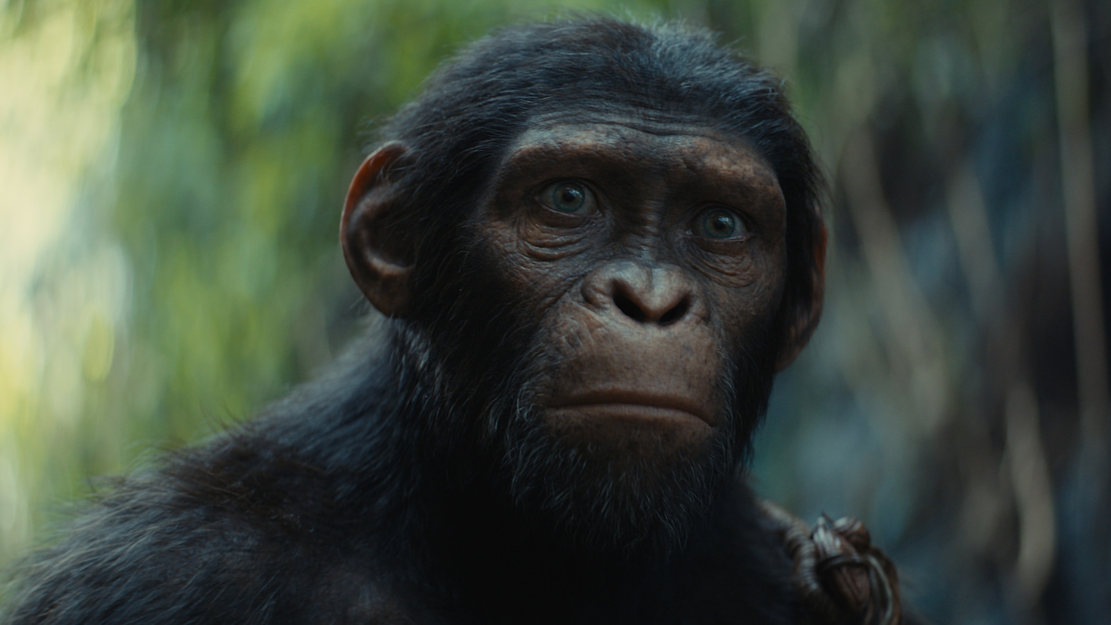 Kingdom Of The Of The Apes Trailer Breakdown Those Darned Apes