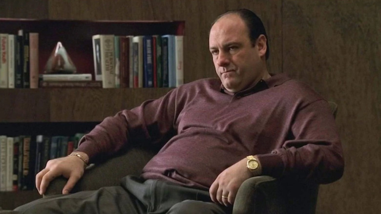 James Gandolfini stars in The Sopranos