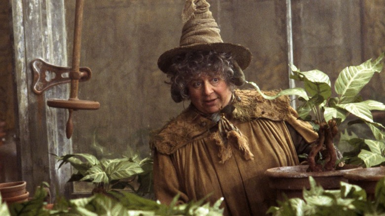 Miriam Margoyles as Professor Sprout