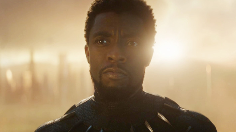 Chadwick Boseman as T'Challa emerging from a portal in Avengers: Endgame