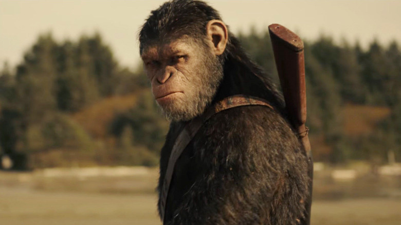 Caesar glaring in War for the Planet of the Apes