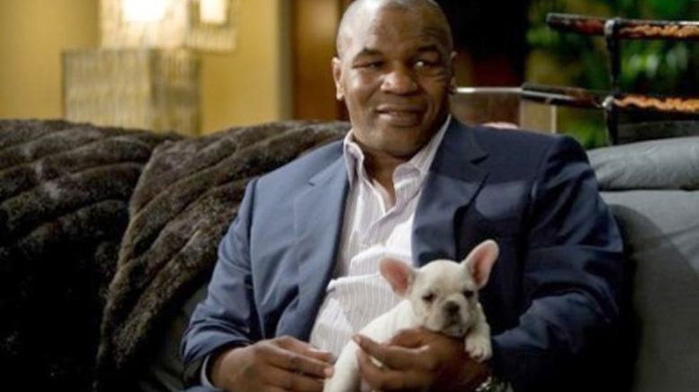 Mike Tyson with a dog during his cameo in The Hangover