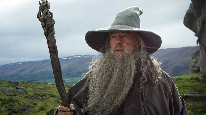 Lord of the Rings Ian McKellen as Gandalf