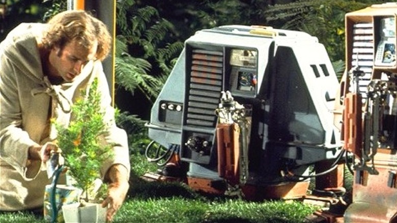 Bruce Dern tends the last forest