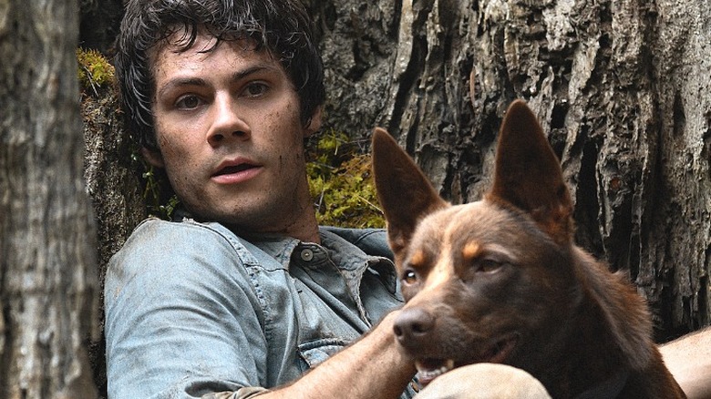 dylan o'brien and dog love and monsters