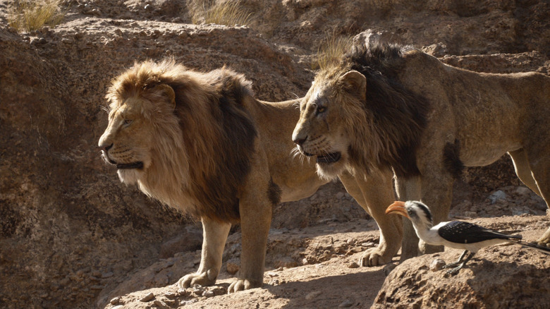 Mufasa and Scar in The Lion King