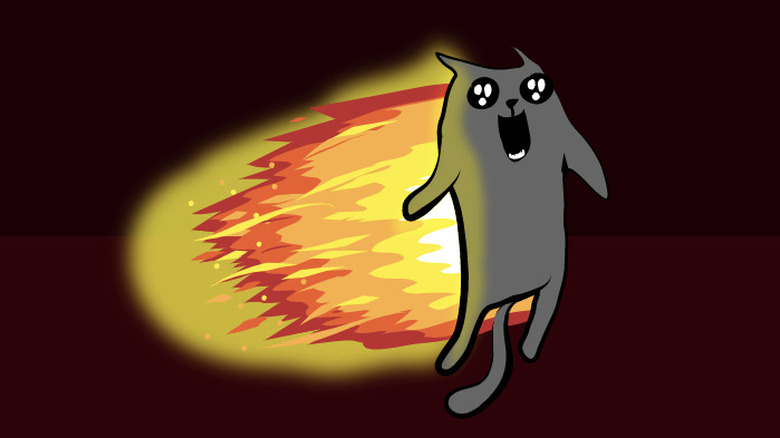 An exploding kitten