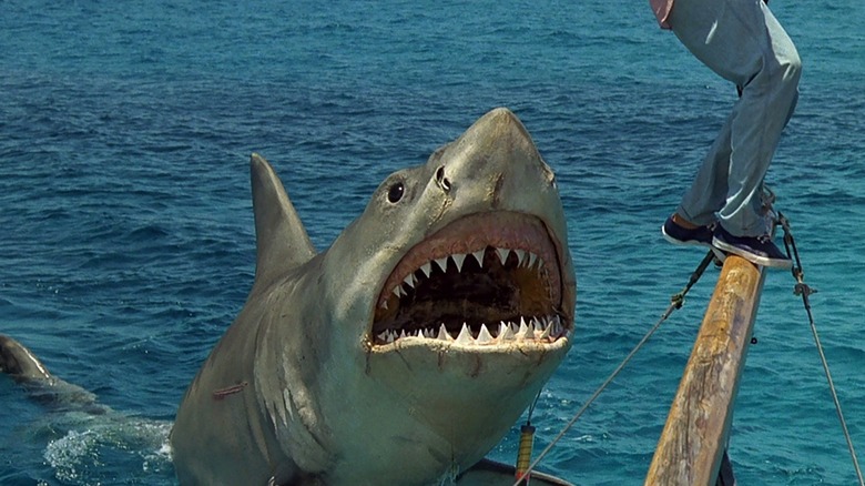 Jaws: The Revenge