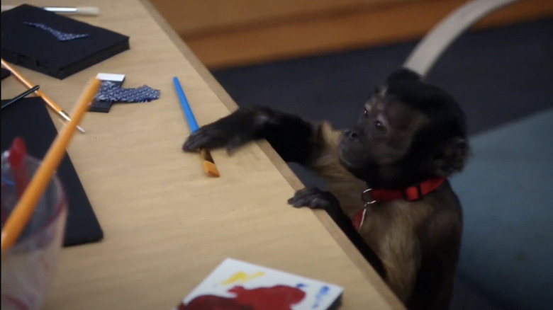 Crystal the monkey in Community