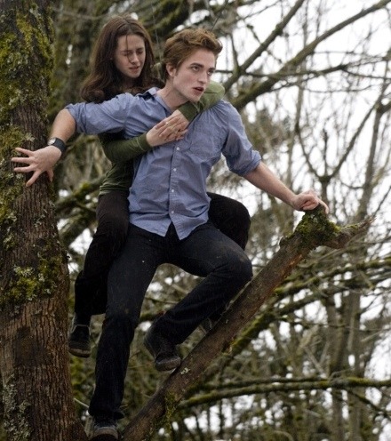 Edward And Bella In The Forest