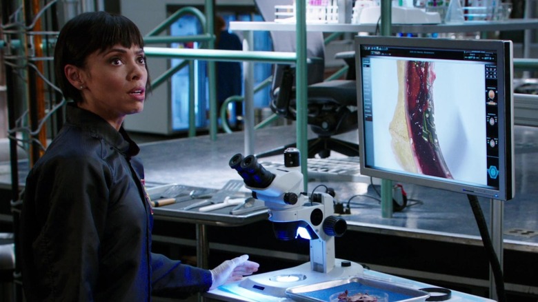 Tamara Taylor in Bones