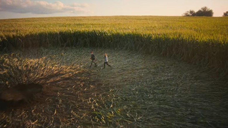 Corn field crop circle