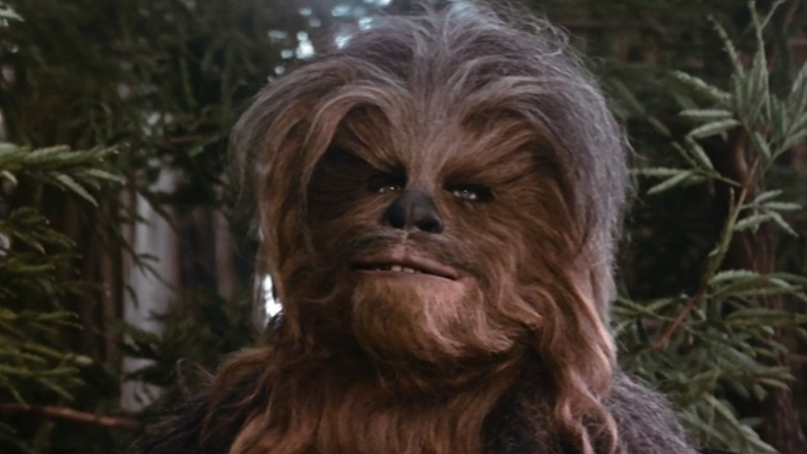 A Star Wars scene accidentally set Peter Mayhew and his Chewbacca costume on fire