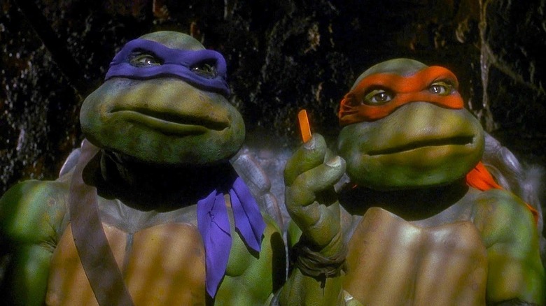 Teenage Mutant Ninja Turles Leonardo and Raphael