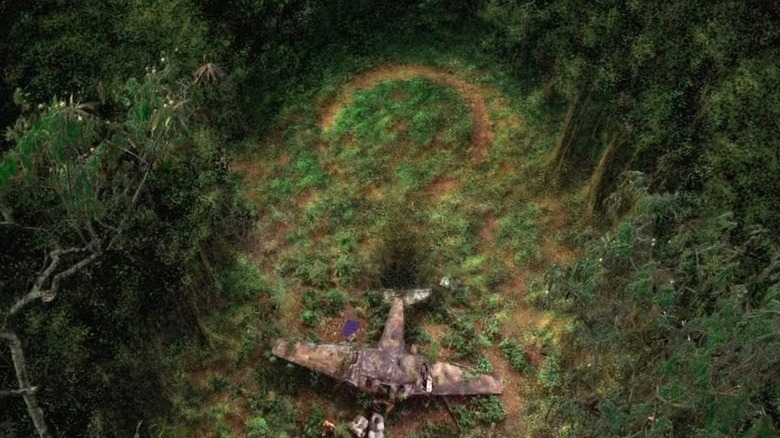 A plane crashed in a field with a question mark shape in it on Lost