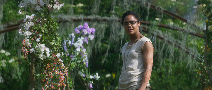 annihilation tessa thompson