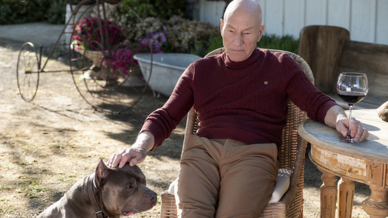 Star Trek: Picard wine